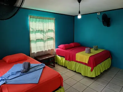 Cabinas Miss Miriam 2 Hotels near Sea Turtle Conservancy Visitor's Center