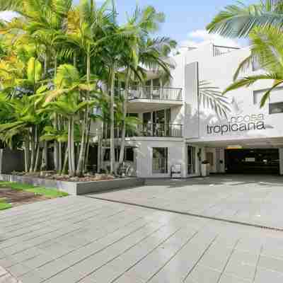 Noosa Tropicana Hotel Exterior