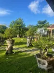 Mộc Villas Các khách sạn gần Hồ Bà Tô