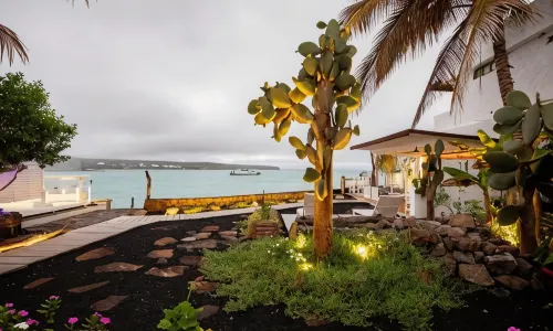 Hotel Cucuve