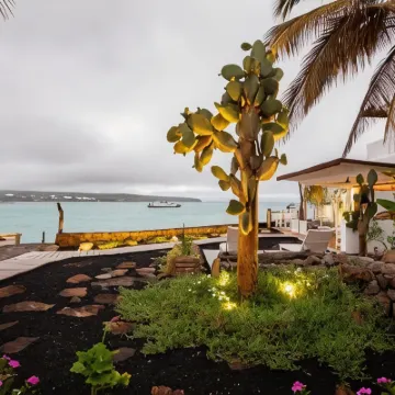 Hotel Cucuve Hotels near Tortuga Bay Beach