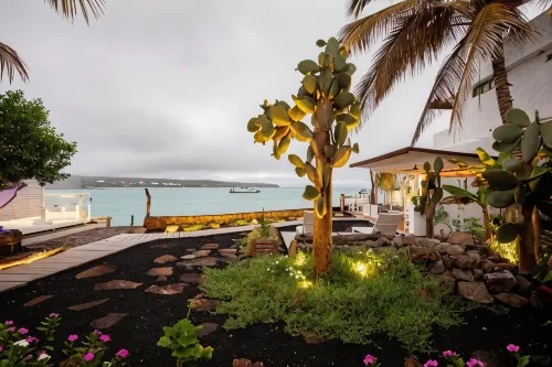 Hotel Cucuve Hotels in Puerto Ayora