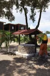 巧克力犀鳥旅館 - Wi-Fi
