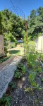 Woodland Hills Cottage on beautiful 1/4 acre property 쉐퍼드 스타디움 주변 호텔