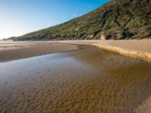Wilsons Promontory Motel Hotels in Foster