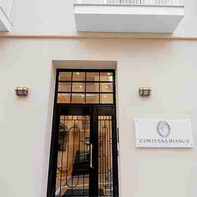 康特莎比安卡豪華套房 Hotel Exterior