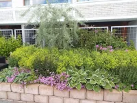 ホテルアルキペラグ のホテル