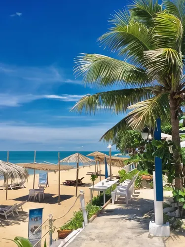 รูปภาพของลไม ชาเล็ท