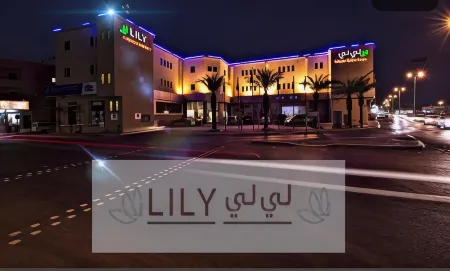 Lily Hotel Suite Mubarraz Отели в г. Эль-Мубарраз