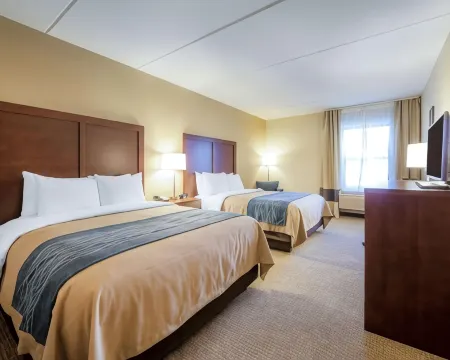 Comfort Inn at Royal Blue