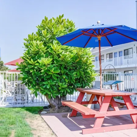 Motel 6 Springfield or Eugene North Hotels in Springfield