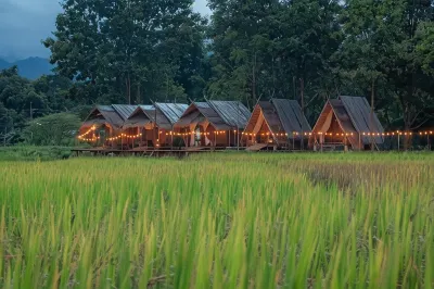 Paddy Fields Haven - Natures Nest