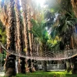 Softa Vivanco Hotel Các khách sạn ở Anamur