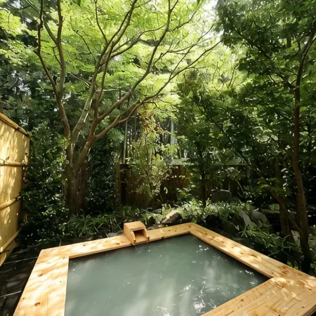 Ryoutei Ryokan Takechiyo Kirishima Bettei
