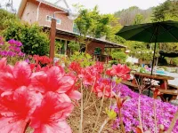 Wonju Gamaksan Hwangtobang Pension Hotels near Baeglyeonsa