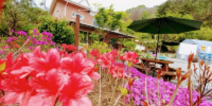 Wonju Gamaksan Hwangtobang Pension