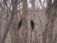 Pension Kaza Hotels in Nanae