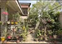 Zion Backpackers Hostel Hotels in 