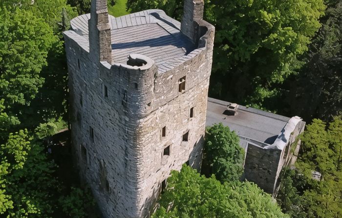 Burg Hermannstein - Kings Room