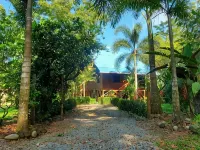 Treehouse in the Canopy close to beach - large garden with trails - Pavones wave Hotels in Pavones