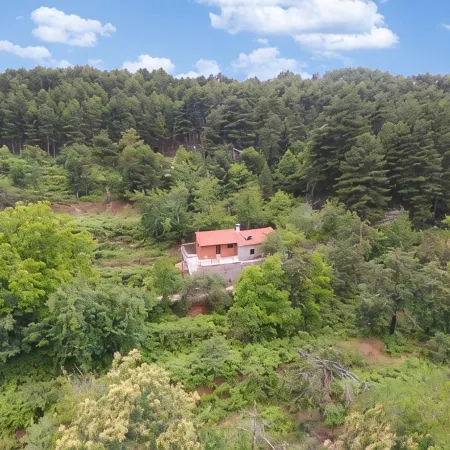 Pine Forest Chalet 1400m | Cinema & Fireplace