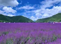 Xingye Campsite - 2-نجوم