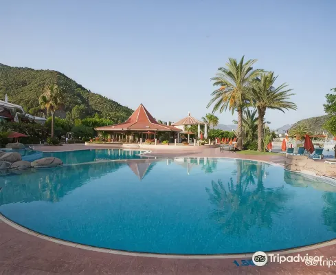 Marti Resort Deluxe Hotel - Business
