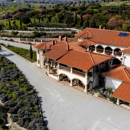 Vinifera Vineyards Hotel