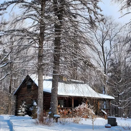Lovely Log Cabin Retreat: Cozy Fireplace, Beautiful Gardens & Nature