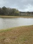 Cozy cabin with 1 bedroom, Lakefront views in tranquil Terry! - 民泊
