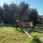 Apartment beautiful sunset farmhouse pascianella