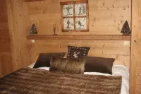 Luxury chalet 160 m2 for 10 people, shuttle bus at 50m, 3mn from the lifts