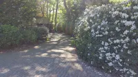 Vacation apartment "Kaminzimmer" in the 2-stall country house in the Rhodo garden. - Wi-Fi