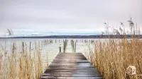 Cozy vacation apartment in Bierdorf am Ammersee - 民宿