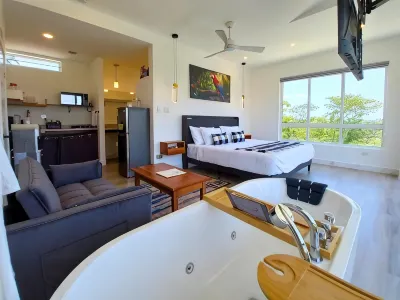 Javiellie Luxury Villa Ξενοδοχεία στην πόλη 