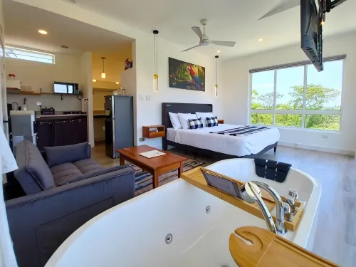 Javiellie Luxury Villa