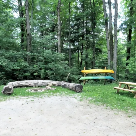 Pet friendly, hot tub, cabin