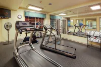 Country Inn & Suites by Radisson Kenosha - Pleasant Prairie - Gym