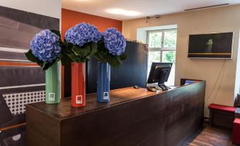 Design Hotel Plattenhof