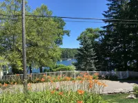 1 bedroom harbor garden view apartment - Apartments