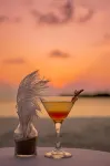 Malahini Kuda Bandos Resort - bar