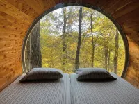 Family & Pet Friendly Treehouse with Amazing Views Hôtels à : Comte de Dade