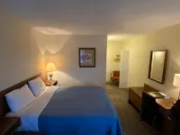 Houston Motor Inn - Pet friendly