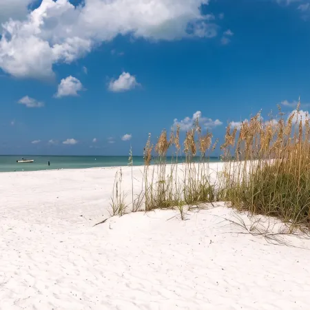 Romantic, Cute Cottage on Anna Maria Island. Close To Everything. Pet Friendly!