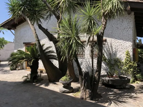 薩卡娜西亞飯店 - Villa