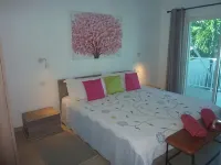 Lovely Villa Rose des cayes in Saint Barthélémy with parking and private pool
