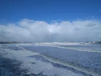 Coble Cottage. By the sea, family and dog friendly - Homestays