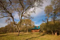 Trabucco Gardens - Yosemite Gold Country Stargazing Retreat! - Alphydda