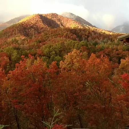 Stunning Mountain Views From Cabin With Hot Tub & Covered Porch!