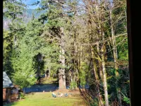 Log Cabin Inn - Cabin 12 on the Mckenzie River - minutes from Tokatee and Loloma - Chalets